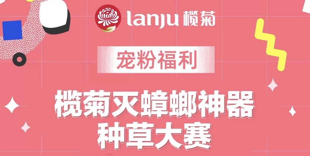 生活类新闻营销：榄菊全民消蟑日2.0火热来袭，百万网友点赞杀蟑螂爆款神器