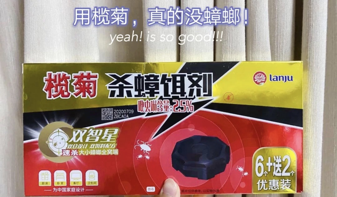榄菊双智星.jpeg