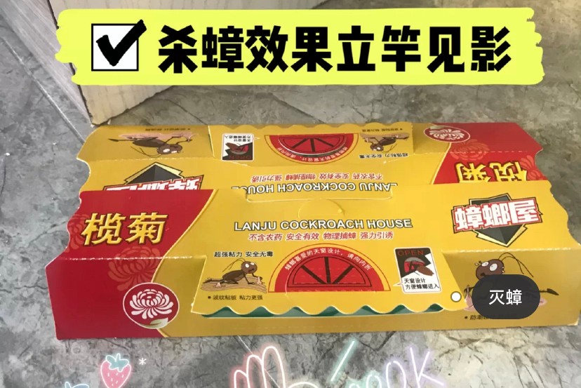 榄菊蟑螂屋.jpeg